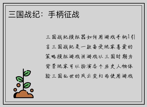 三国战纪：手柄征战